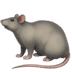 :rat: