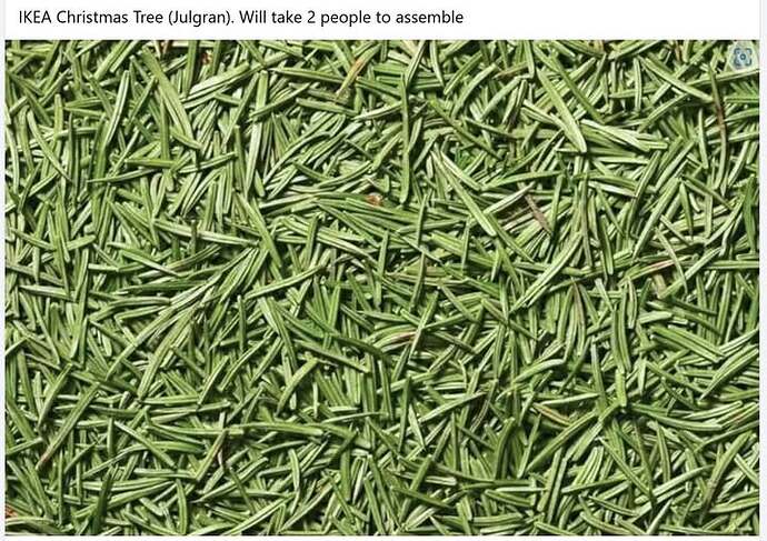 481481087_1211098993710859_7103883928250870268_n