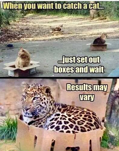 132443062_162229158976181_8268780124980017067_n