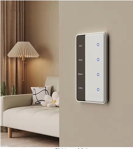 Zemismart Name Display Zigbee Display Switch-02a