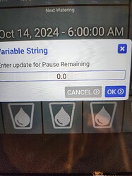 20250328_094810