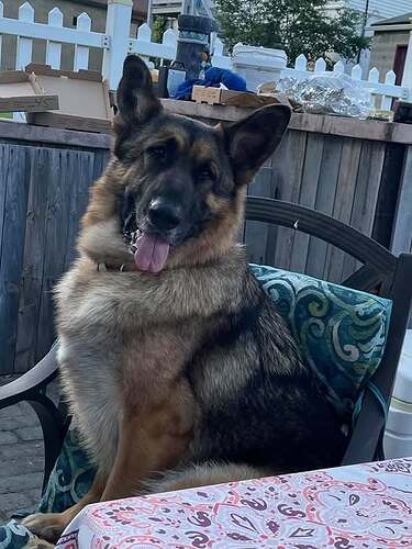 195982071_337571941063573_7716654184430016711_n