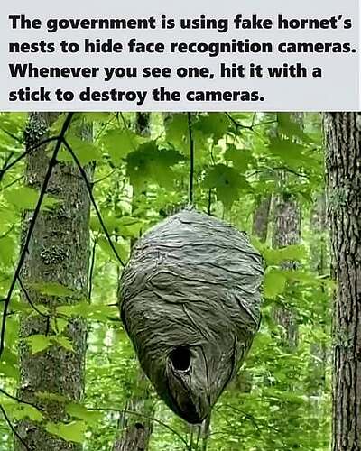 523106092_122241727478219058_7085606983380337227_n