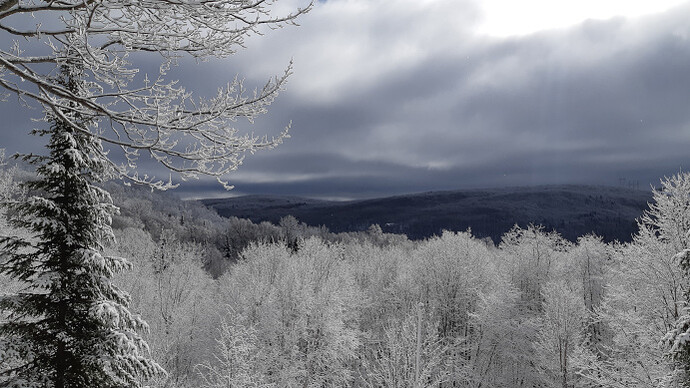 hiver