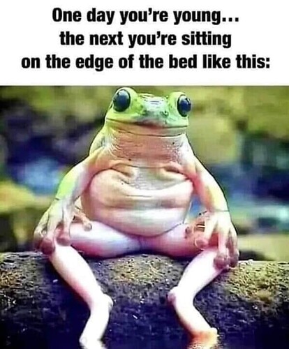 391620500_896477945172967_6942375208132905661_n