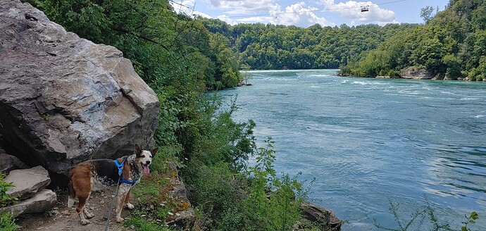 20190809_140503_HDR