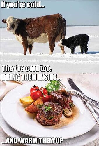 17376524088892717725836977706111