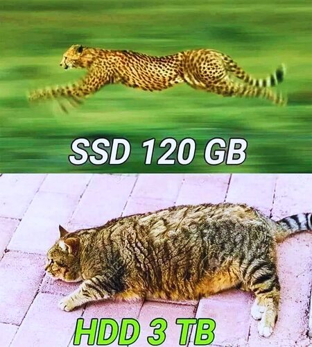 391617373_290752017246930_1428968593767853880_n