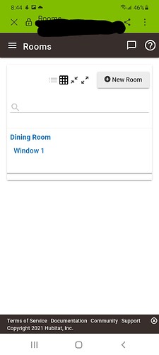 Dining Room Window 1