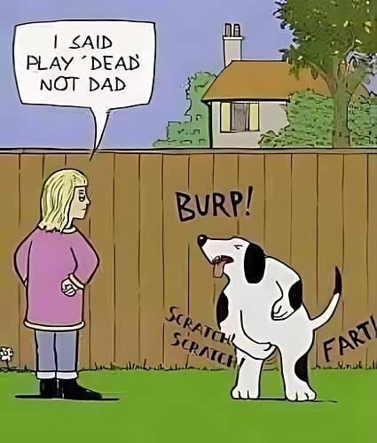 FB_IMG_1721782558235