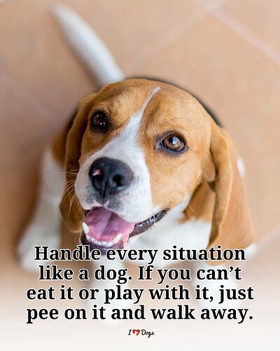 FB_IMG_1786556096556