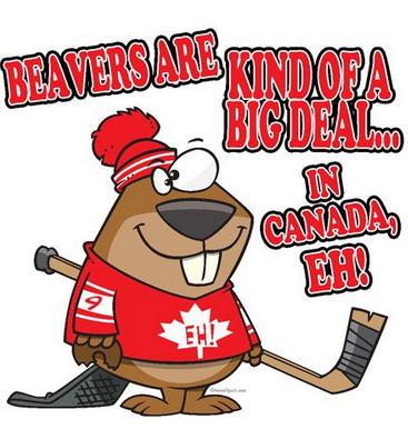 candian hockey beaver